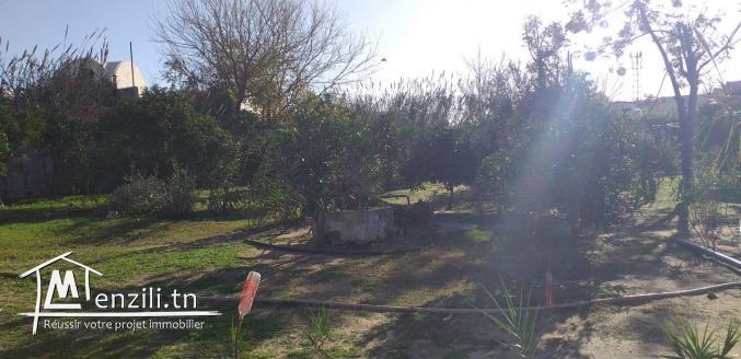 terrain en plein Soukra de 820 m2