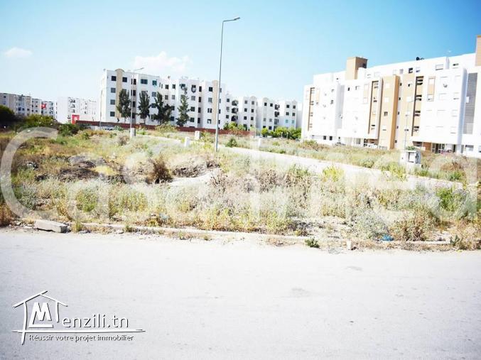 un terrain de 345 m2