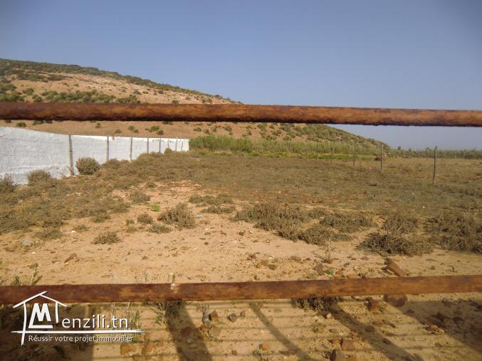 1 ere position a la plage el hawaria terrain cloturé