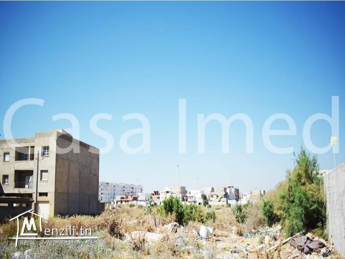 un terrain de 273 m2