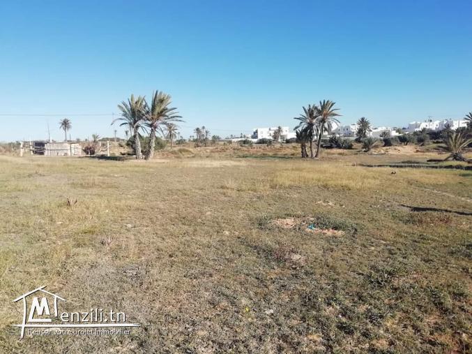 2920m2 titré Mezraya