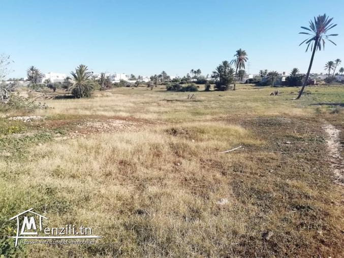 2920m2 titré Mezraya