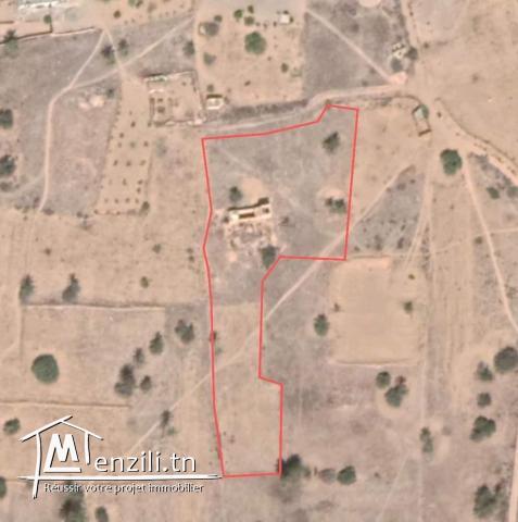 2920m2 titré Mezraya