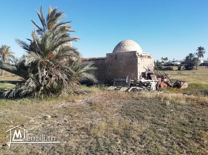 2920m2 titré Mezraya