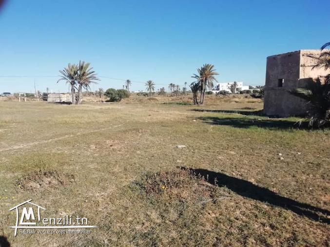 2920m2 titré Mezraya