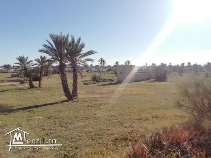 2920m2 titré Mezraya