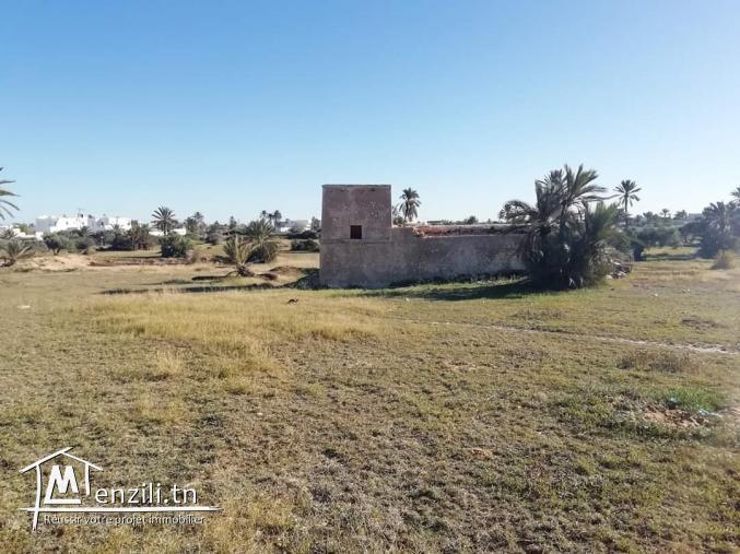 2920m2 titré Mezraya