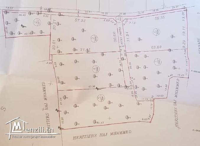 2 hektare à Hachène Houmt Souk