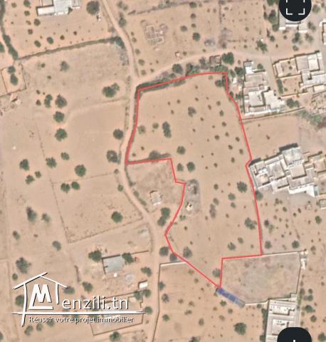 Terrain 9500 zone urbaine Fatou