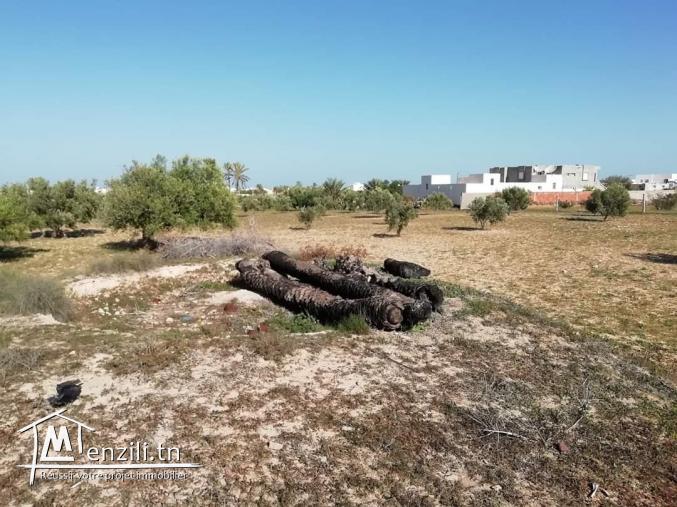 Terrain 9500 zone urbaine Fatou