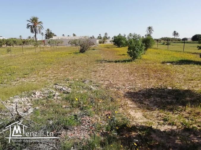 Terrain 9500 zone urbaine Fatou