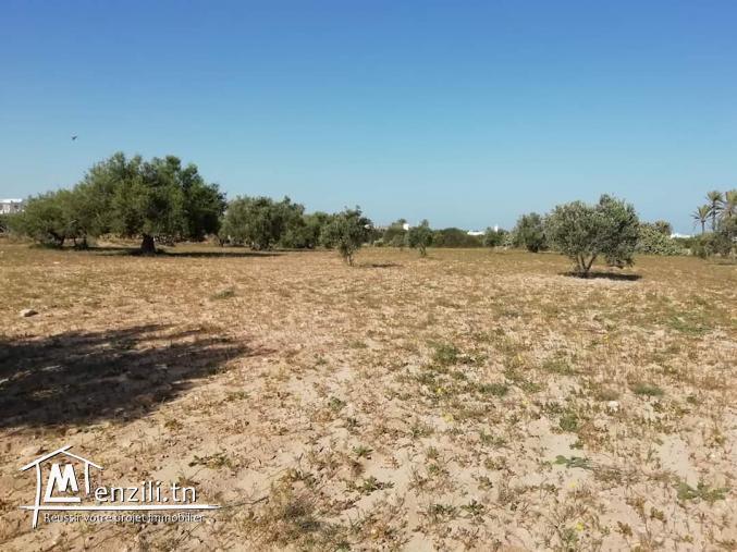 Terrain 9500 zone urbaine Fatou