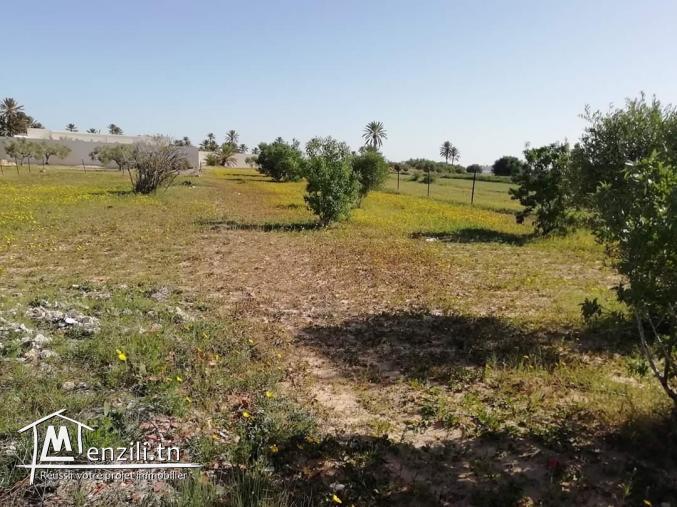 Terrain 9500 zone urbaine Fatou