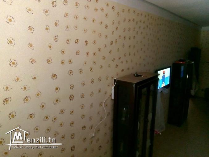 A vendre une grand villa à Nefza