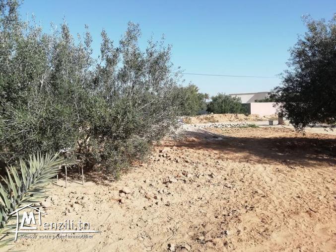 Maison a Guechaine Titre bleu