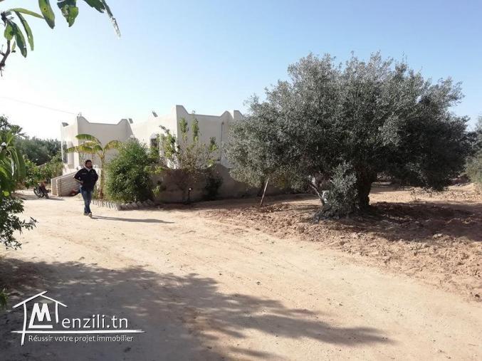 Maison a Guechaine Titre bleu