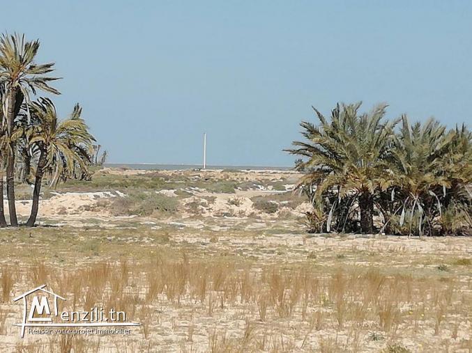 2500m² titré vue sur mer à Ghizen