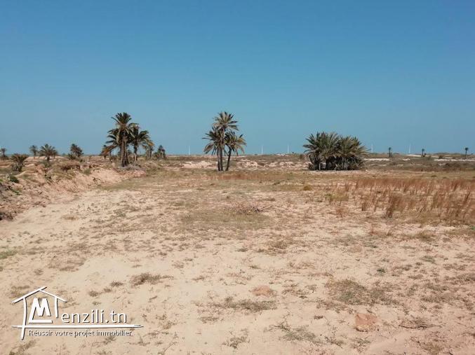 2500m² titré vue sur mer à Ghizen