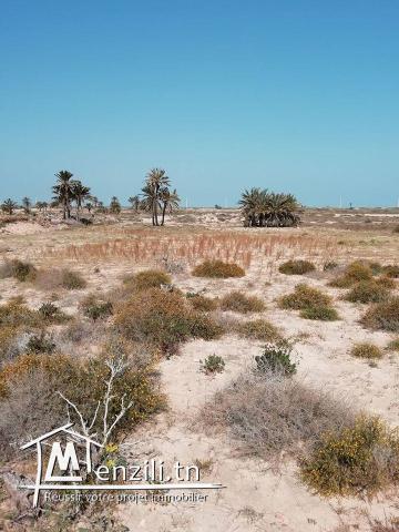 2500m² titré vue sur mer à Ghizen
