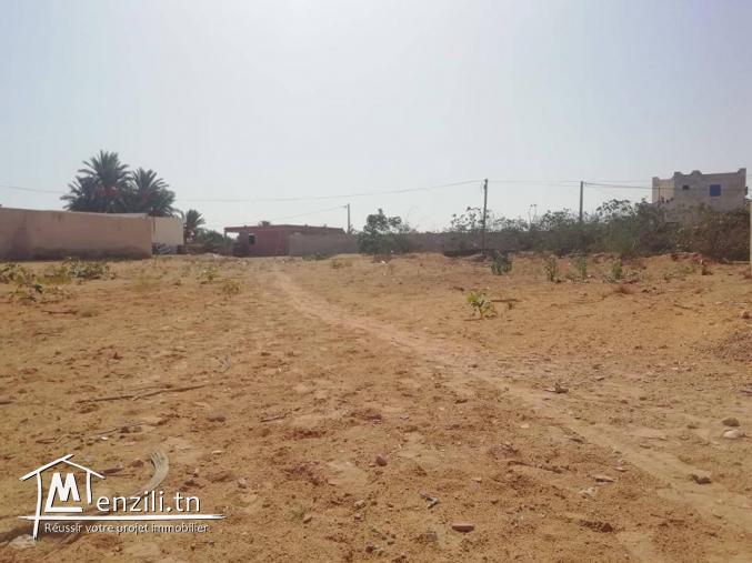 Surface 1955 m² titré