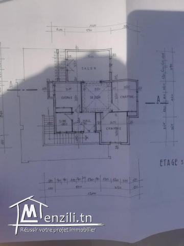 Surface 1955 m² titré
