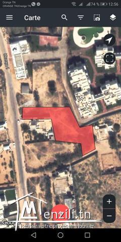 Surface 1955 m² titré