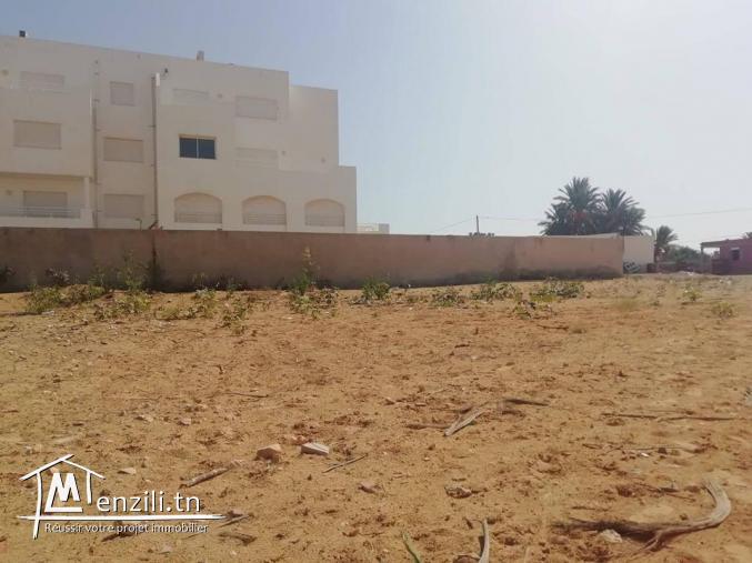 Surface 1955 m² titré