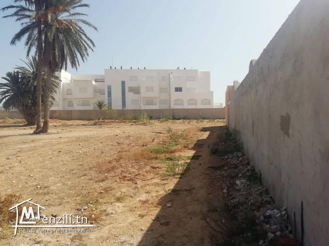 Surface 1955 m² titré