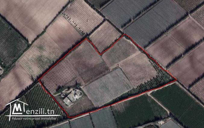 Terrain agricole avec 2 Villa mornag