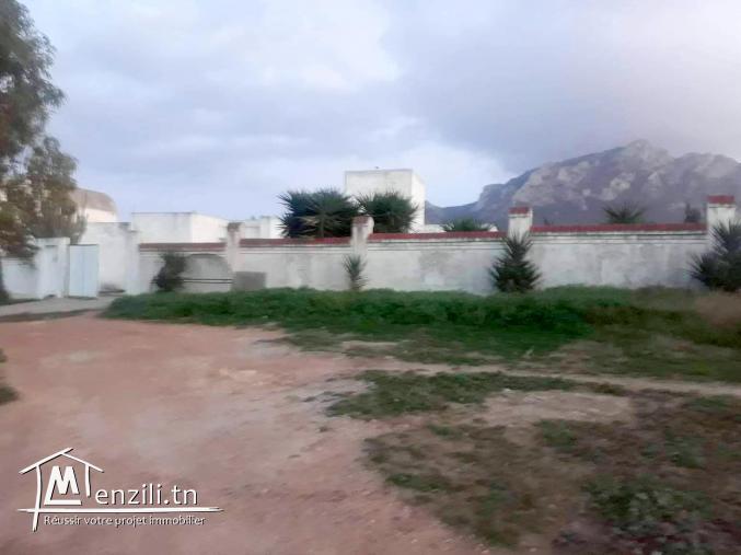 Terrain agricole avec 2 Villa mornag