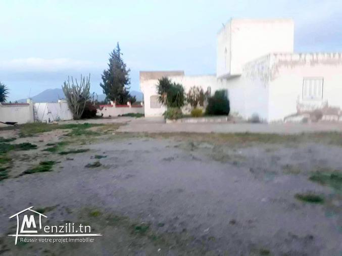 Terrain agricole avec 2 Villa mornag