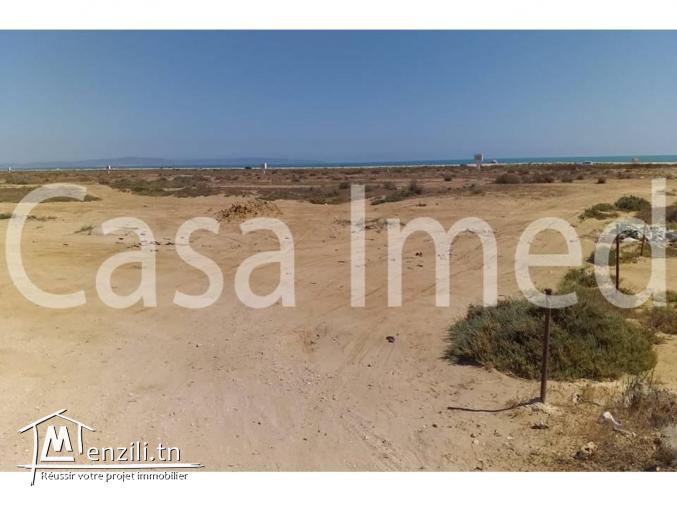 un terrain de 150 m2 