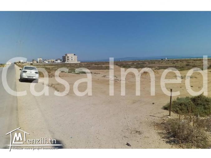 un terrain de 150 m2 