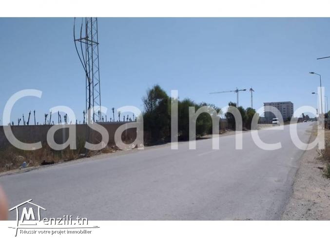 un terrain de 150 m2 