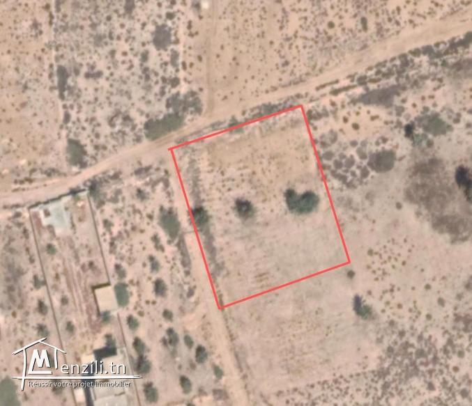 2500m² titré vue sur mer à Ghizen