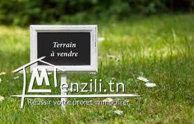 un terrain à vendre chott meriem