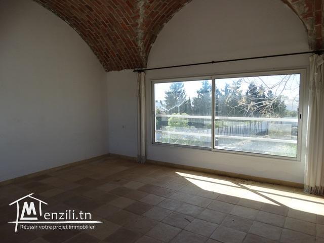 Belle villa zone theatre Hammamet