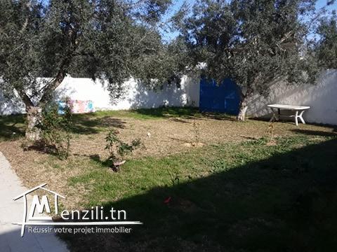 Rez de chaussée Khalifa