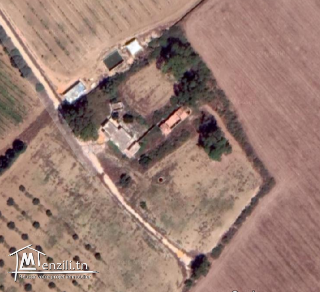 Proposition de partenariat Projet d'agro-industrie pour exportation, pour l'étranger