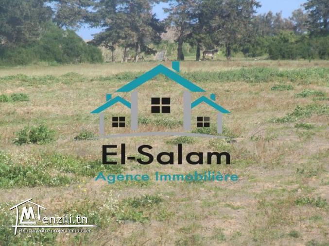 deux hectars seuelement 130000dt