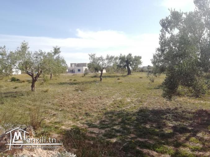 1200m2 zone urbaine Fatou