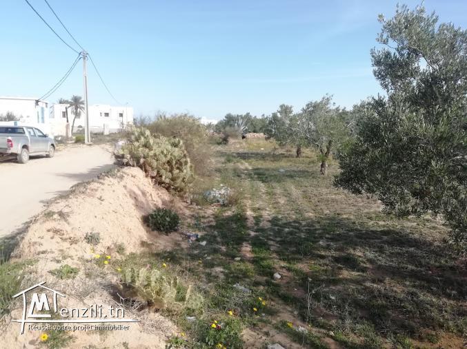 1200m2 zone urbaine Fatou