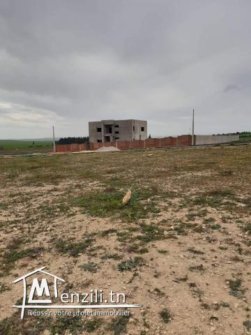 قطعة ارض للبيع بالمحمدية