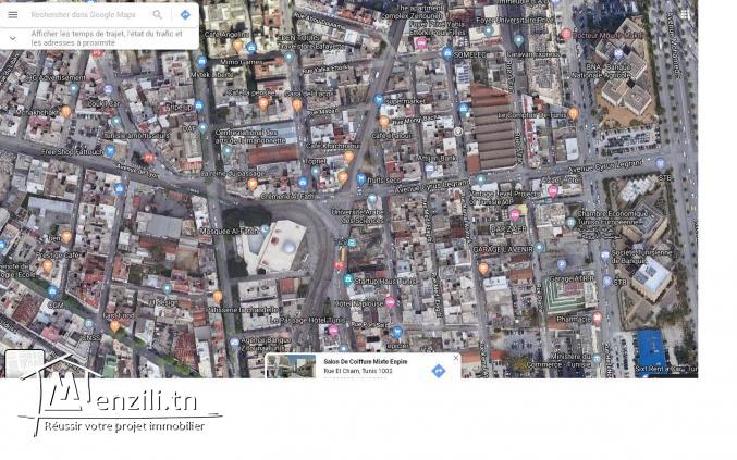 Appartement / Magasin (Local fonds et murs).