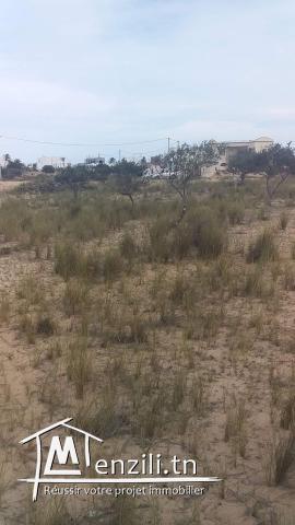 2300m2 Houmt Souk + permis de bâtir