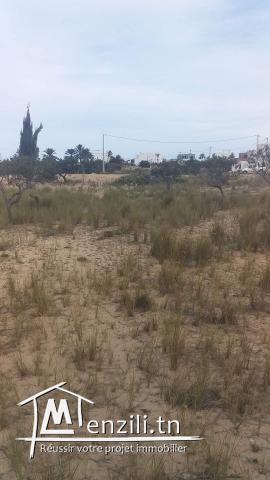 2300m2 Houmt Souk + permis de bâtir