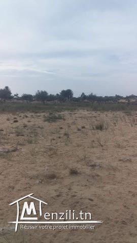 2300m2 Houmt Souk + permis de bâtir