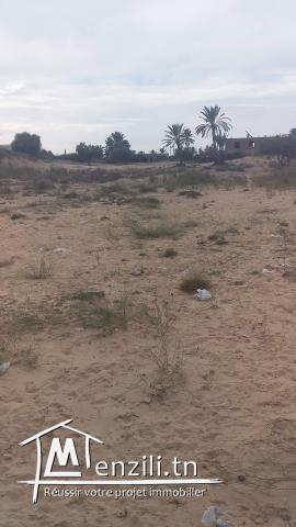 2300m2 Houmt Souk + permis de bâtir