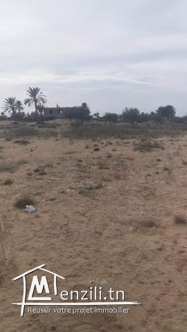 2300m2 Houmt Souk + permis de bâtir