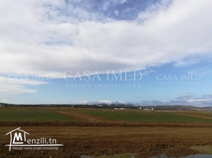 أراضي قريبة للبحر في الحمامات..28910825